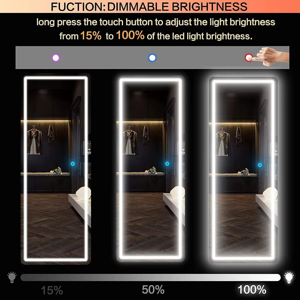 Wall Mounted Mirrors with Light,40''X19'' over the Door LED Mirror,Hanging Lights,Floor Mirror，Length Mirrors